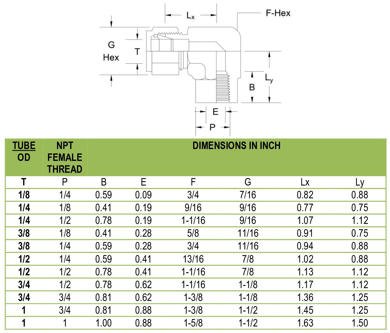 female elbow exporter