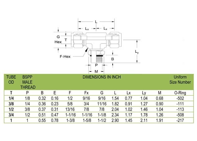 Tube Fittings Positional Male Branch Tee Supplier