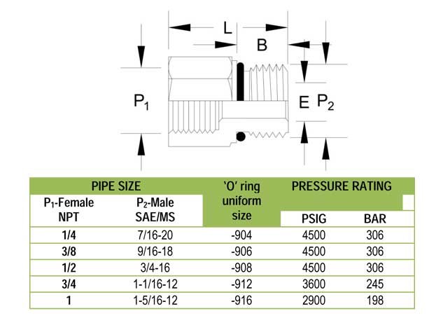 female npt to male sae ms