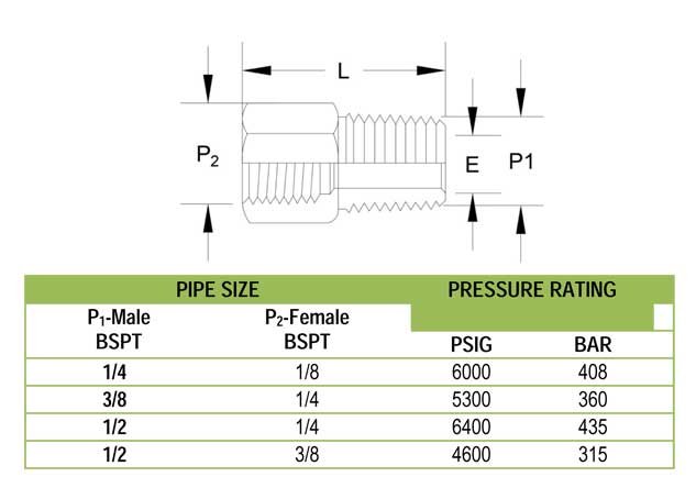 Pipe Fittings Reducing Bush Supplier